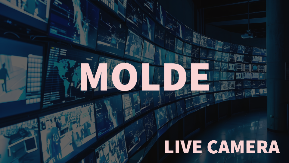 Molde live