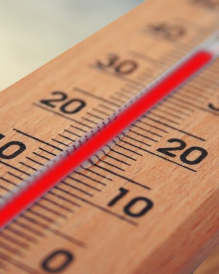 Temperatur gradestokk