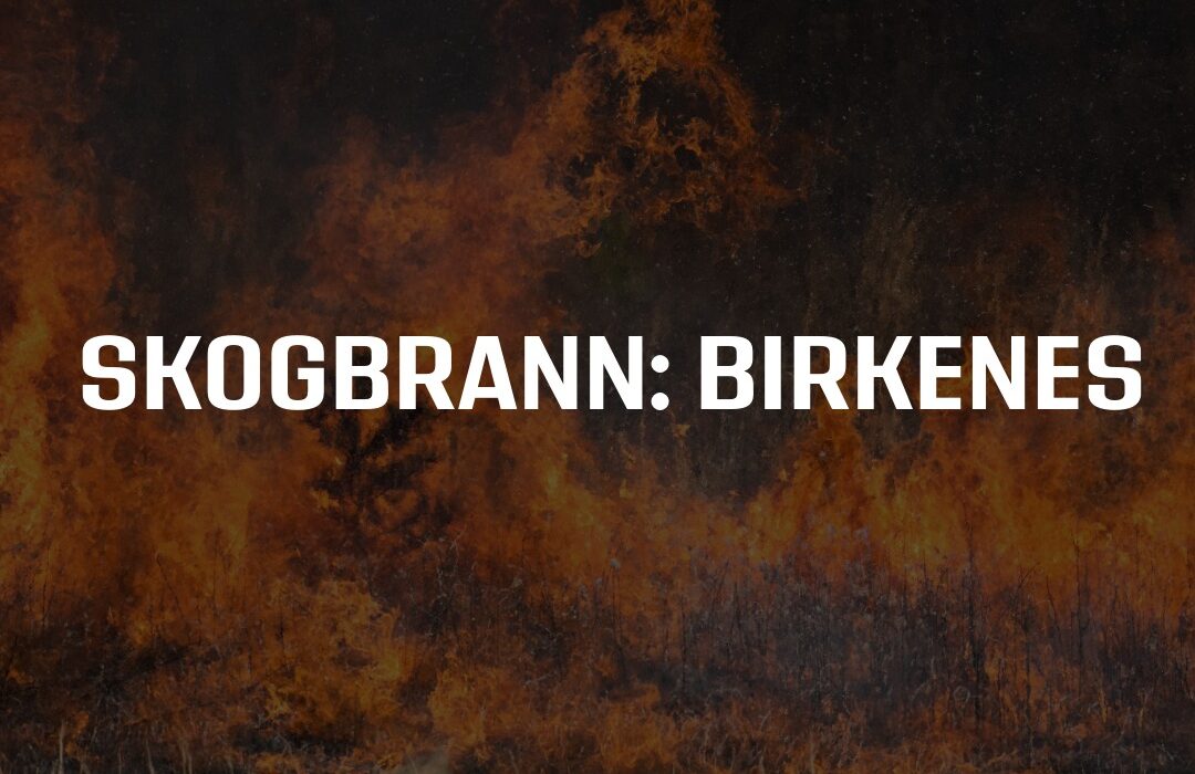Skogbrann Birkenes